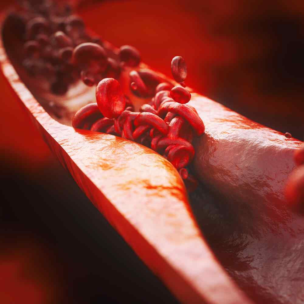 https://tuccymedicallab.com/wp-content/uploads/2021/08/inner_image_01.jpg
